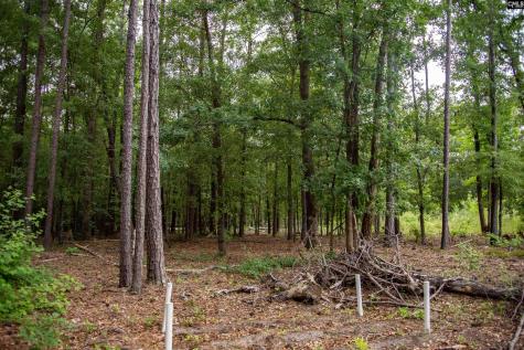 105 Dunwoody Place Blythewood SC 29016-8452