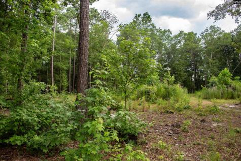 105 Dunwoody Place Blythewood SC 29016-8452