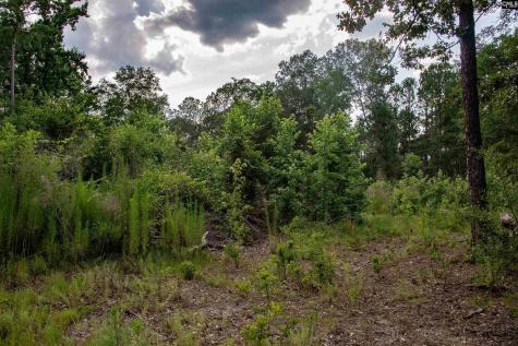 105 Dunwoody Place Blythewood SC 29016-8452