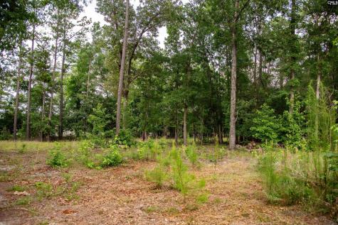 105 Dunwoody Place Blythewood SC 29016-8452