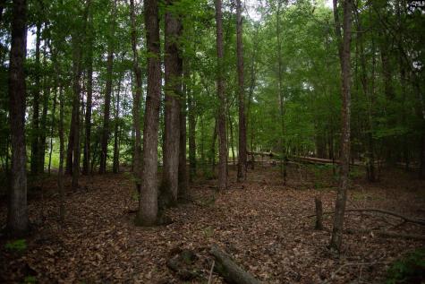 105 Dunwoody Place Blythewood SC 29016-8452