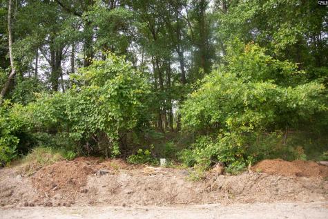 105 Dunwoody Place Blythewood SC 29016-8452