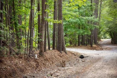 105 Dunwoody Place Blythewood SC 29016-8452