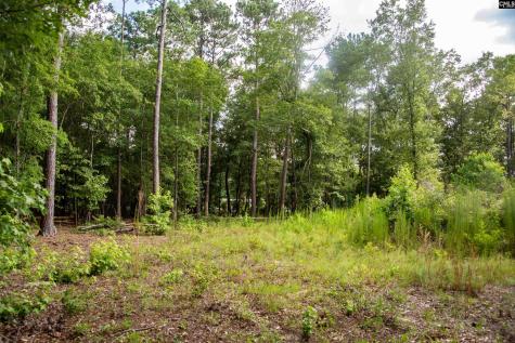 105 Dunwoody Place Blythewood SC 29016-8452