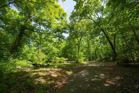 382 Oliver Metz Road Lexington SC 29072