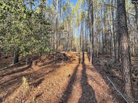1651 Little Cedar Creek Road Blythewood SC 29016