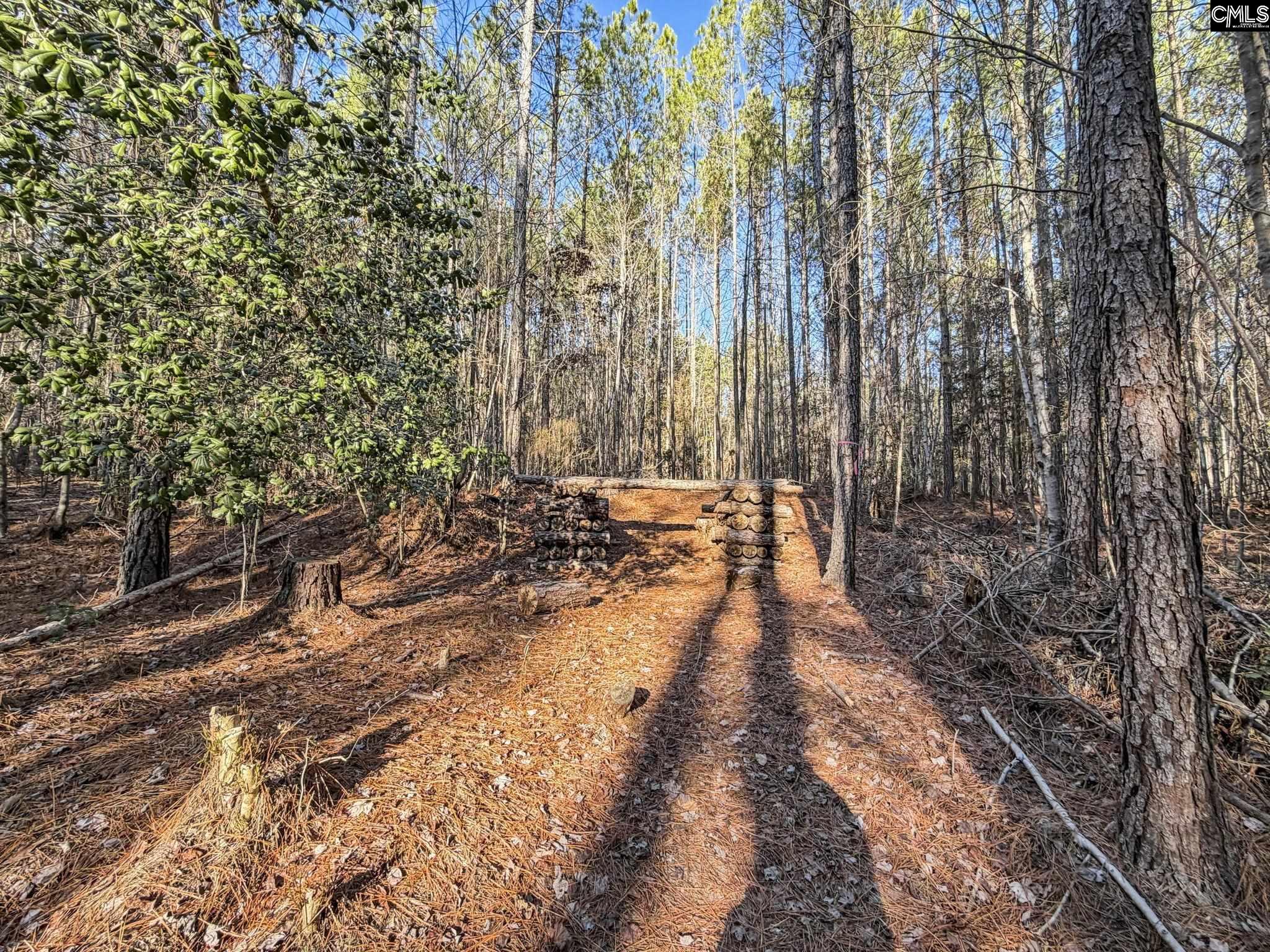 1651 Little Cedar Creek Road Blythewood SC 29016