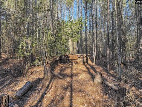 1651 Little Cedar Creek Road Blythewood SC 29016