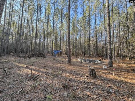 1651 Little Cedar Creek Road Blythewood SC 29016