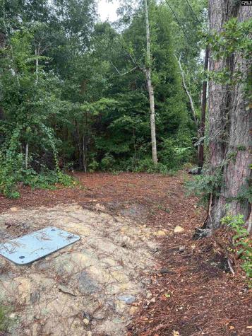 3318 Hollydale Drive West Columbia SC 29170