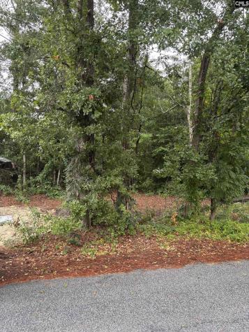 3318 Hollydale Drive West Columbia SC 29170