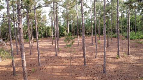0 Little Creek Drive Leesville SC 29070