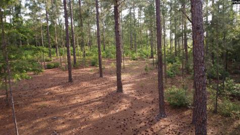 0 Little Creek Drive Leesville SC 29070