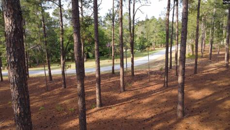 0 Little Creek Drive Leesville SC 29070