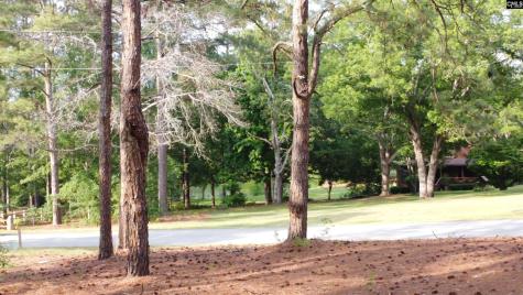 0 Little Creek Drive Leesville SC 29070