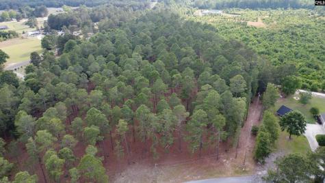 0 Little Creek Drive Leesville SC 29070