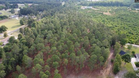 0 Little Creek Drive Leesville SC 29070