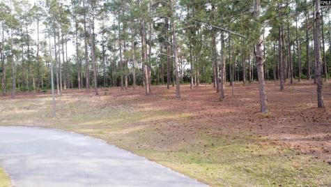0 Little Creek Drive Leesville SC 29070