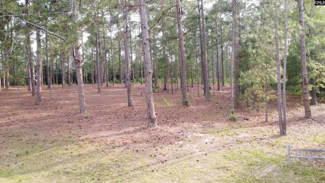 0 Little Creek Drive Leesville SC 29070