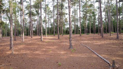 0 Little Creek Drive Leesville SC 29070