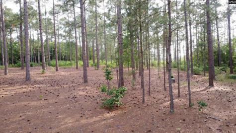 0 Little Creek Drive Leesville SC 29070