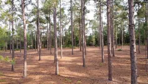0 Little Creek Drive Leesville SC 29070