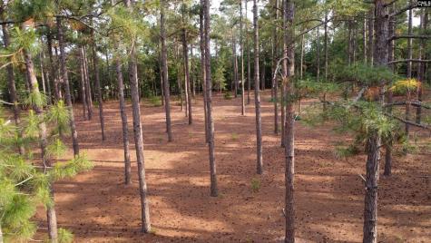 0 Little Creek Drive Leesville SC 29070
