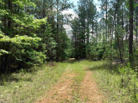Tbd Elford Grove Road Jonesville SC 29353