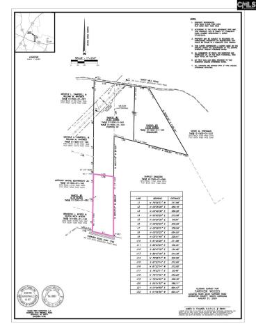 TBD Fairview Road Leesville SC 29070