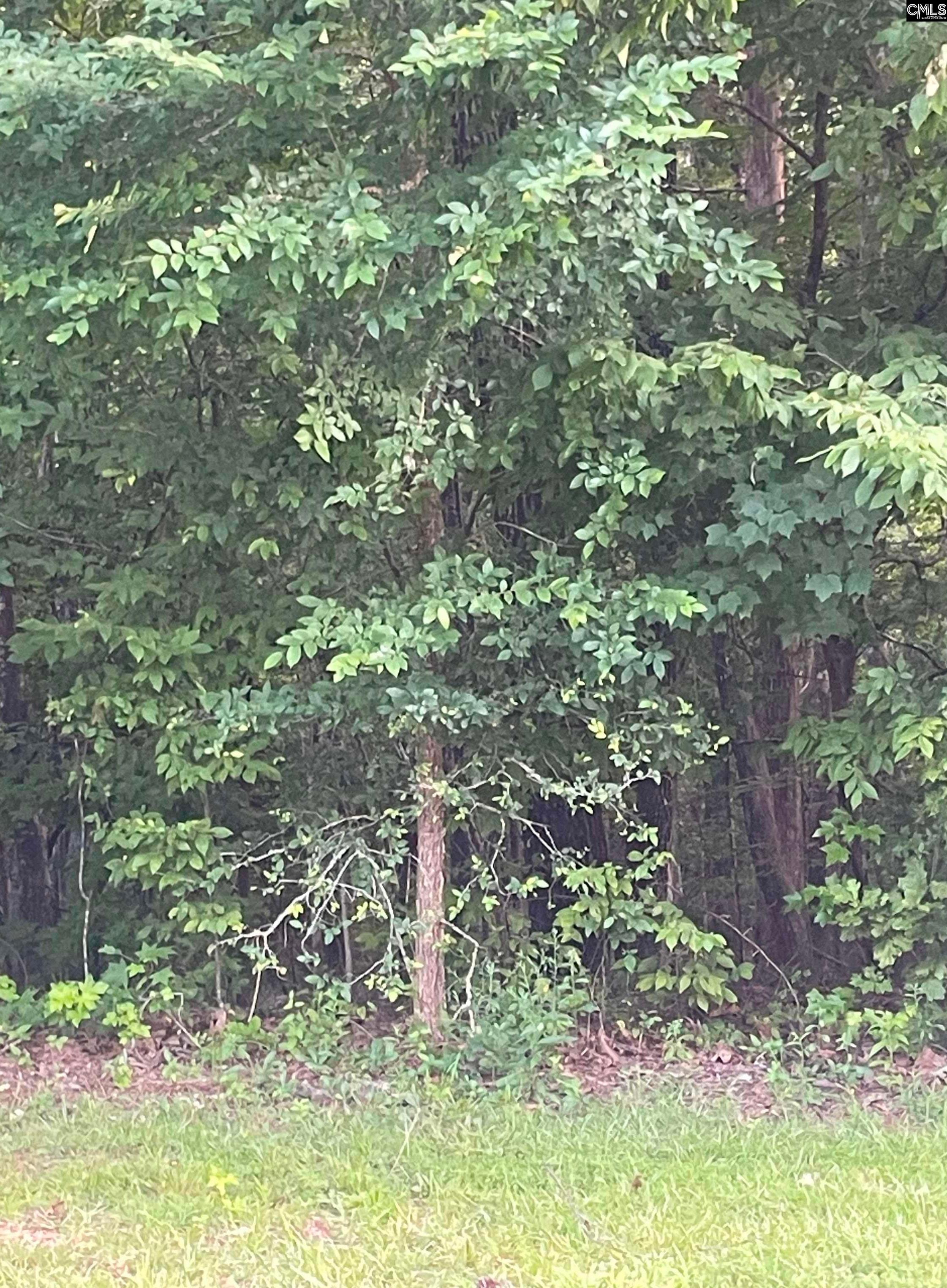 11 Otter Trail Court Columbia SC 29203