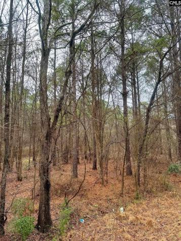 1178 Great Falls Highway Chester SC 29706