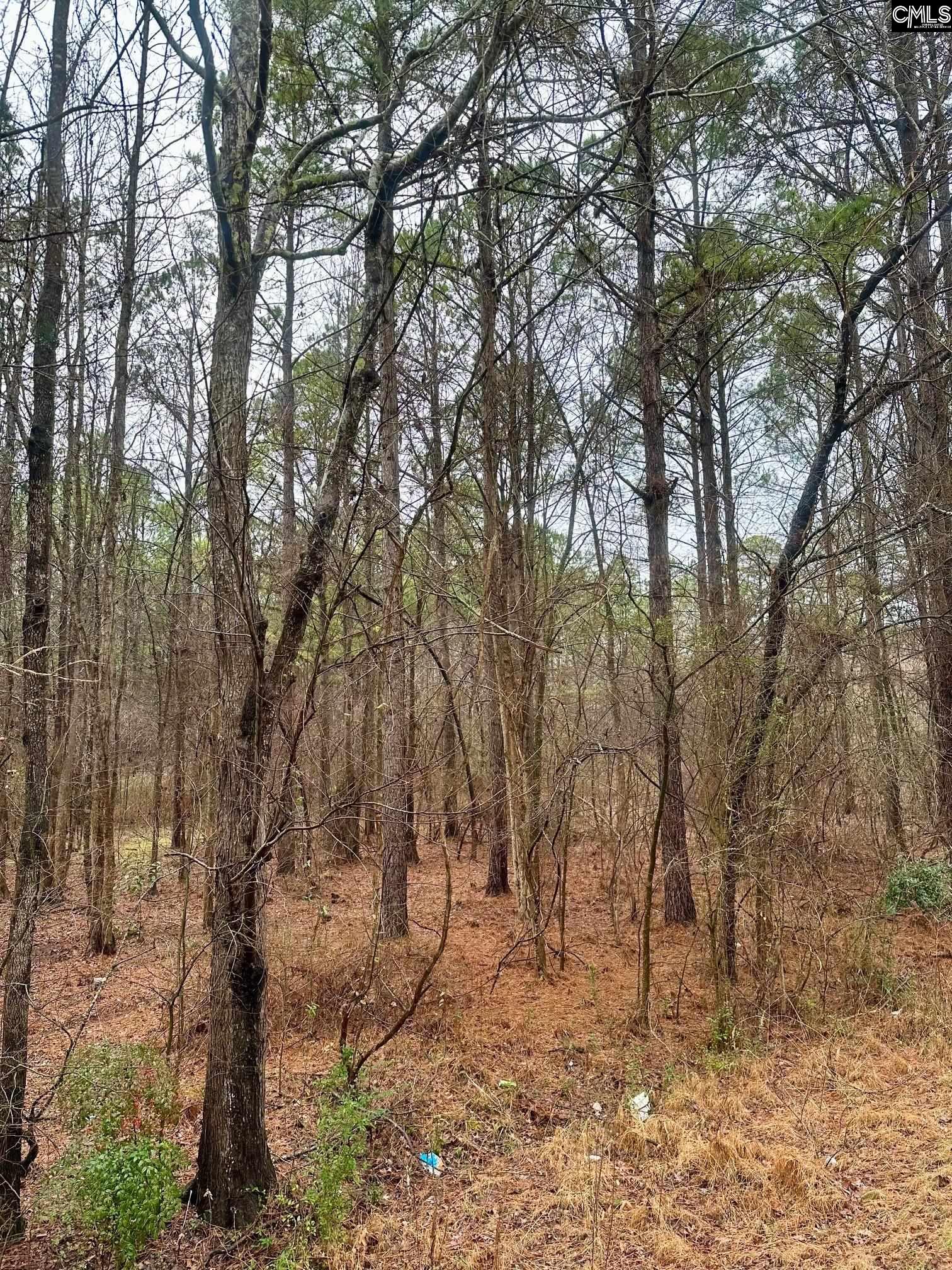 1178 Great Falls Highway Chester SC 29706