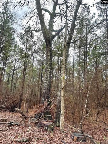 1178 Great Falls Highway Chester SC 29706