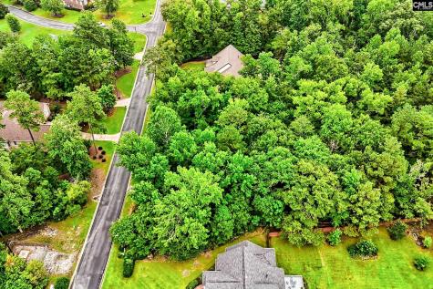 0 Kelsey Glen Drive Lexington SC 29072