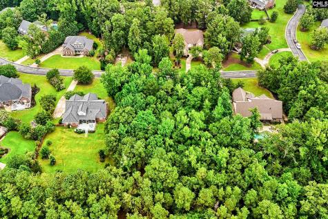 0 Kelsey Glen Drive Lexington SC 29072