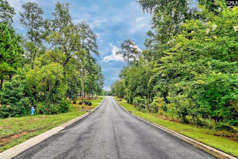 0 Kelsey Glen Drive Lexington SC 29072
