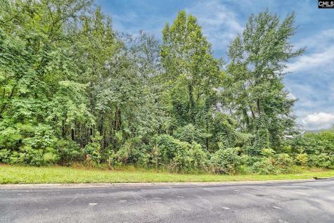 0 Kelsey Glen Drive Lexington SC 29072