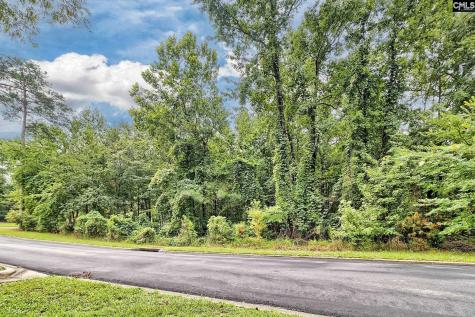 0 Kelsey Glen Drive Lexington SC 29072