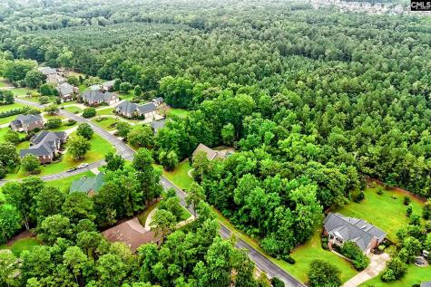 0 Kelsey Glen Drive Lexington SC 29072