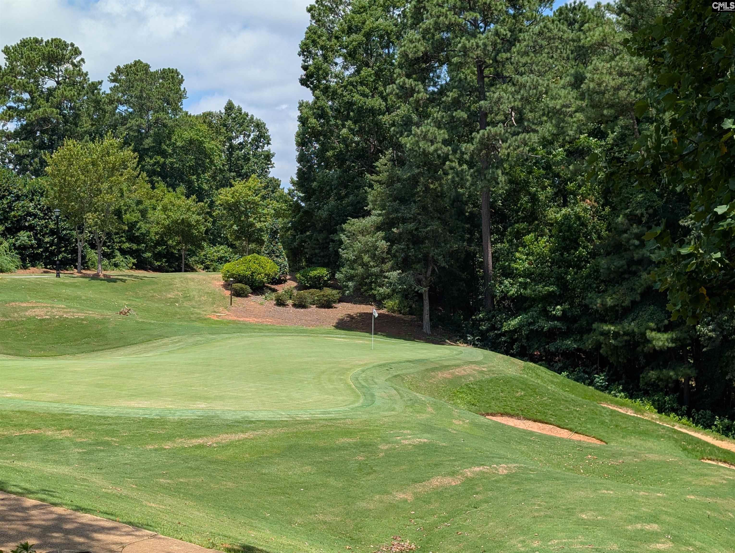 1060 Coogler Crossing Drive Blythewood SC 29016