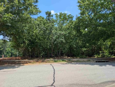 1060 Coogler Crossing Drive Blythewood SC 29016