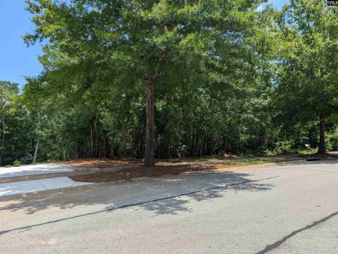 1060 Coogler Crossing Drive Blythewood SC 29016
