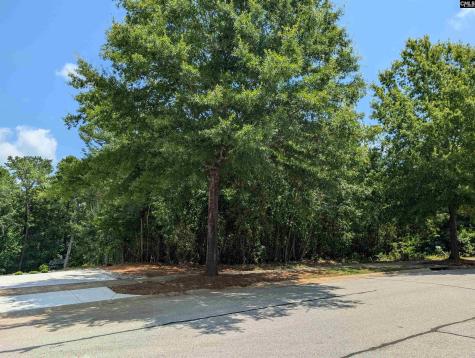 1060 Coogler Crossing Drive Blythewood SC 29016