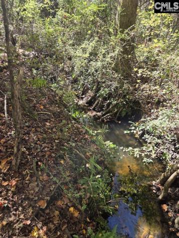 17 Five Bridges Road Camden SC 29020