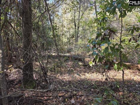 17 Five Bridges Road Camden SC 29020