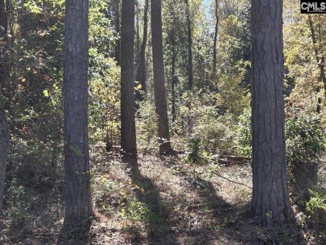 17 Five Bridges Road Camden SC 29020