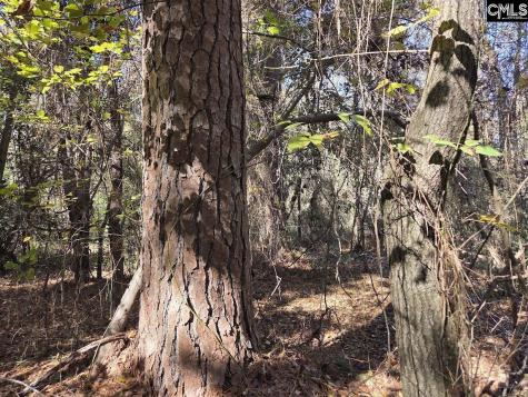 17 Five Bridges Road Camden SC 29020