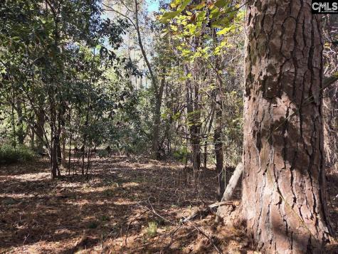 17 Five Bridges Road Camden SC 29020