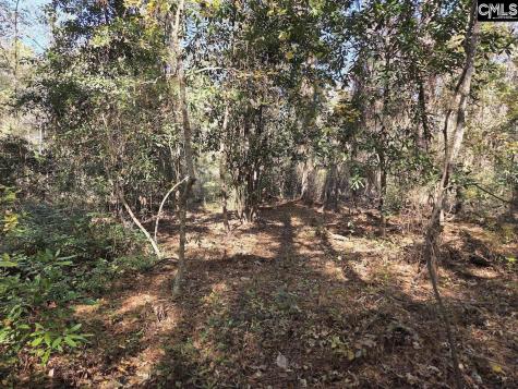 17 Five Bridges Road Camden SC 29020