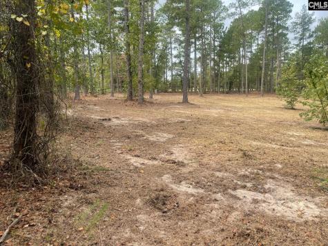 3520 Richardson Road Kershaw SC 29067